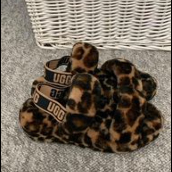 Shoes - Leopard Ugg Slippers